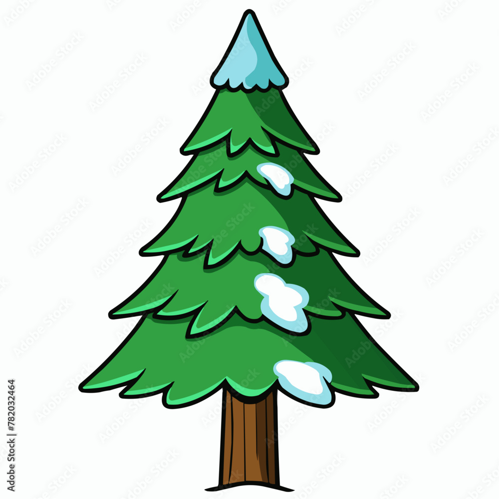 cedar tree isolated on white cedar tree isolated on white