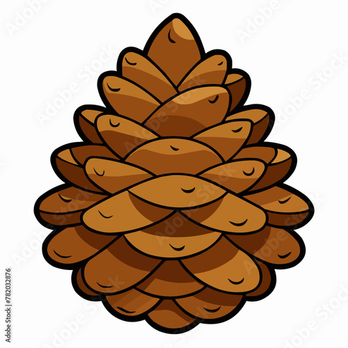 vector illustration of pine cones