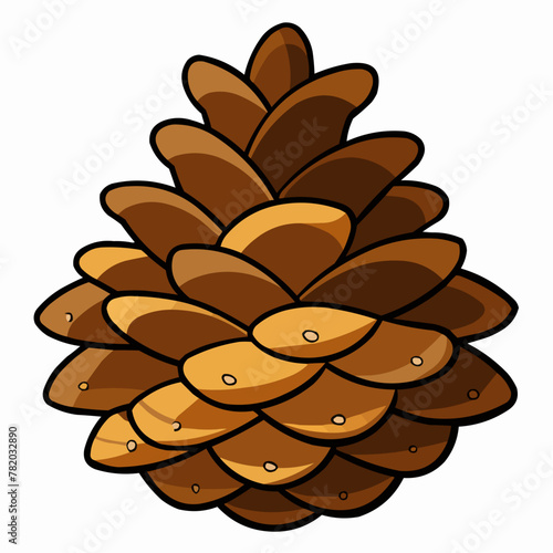 vector illustration of pine cones