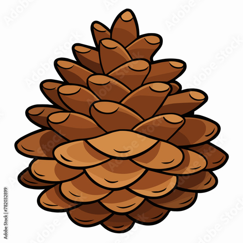 vector illustration of pine cones