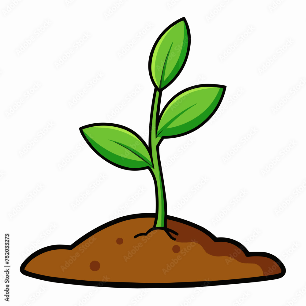 plant in the soil plant in the soil
