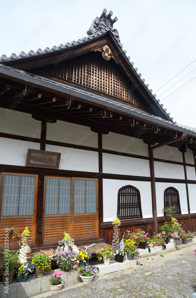 春の金戒光明寺 熊谷堂 京都市左京区黒谷 春の金戒光明寺 熊谷堂 京都市左京区黒谷