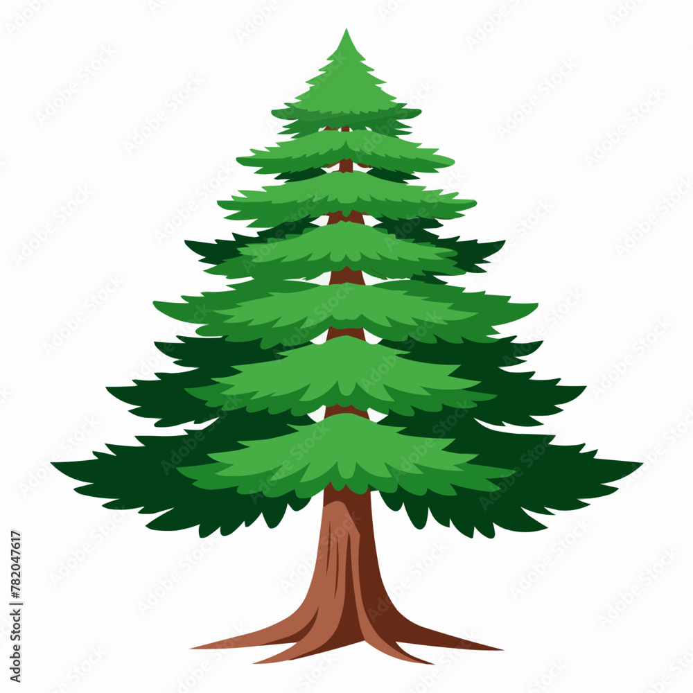 illustration of a pine illustration of a pine