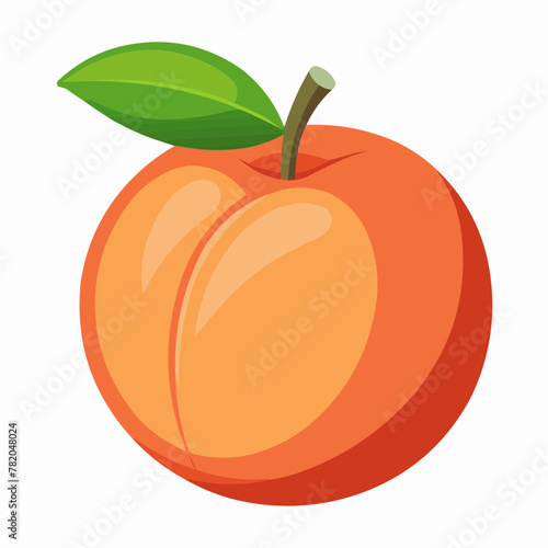 illustration of an peach fruit