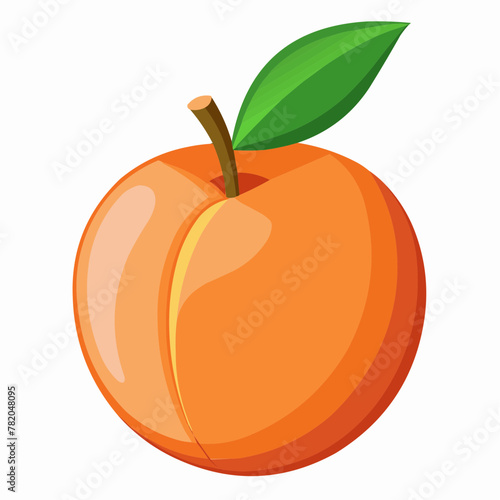 illustration of an peach fruit
