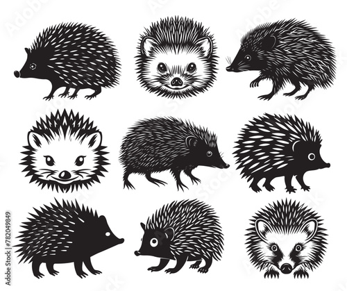 Collection of hedgehog silhouettes on white background photo