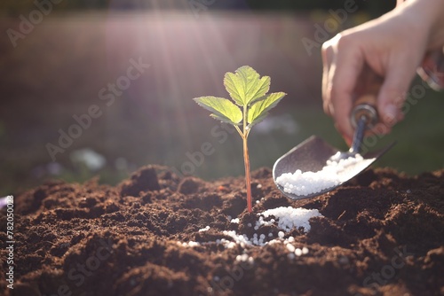 Woman fertilizing soil with growing young sprout on sunny day, selective focus