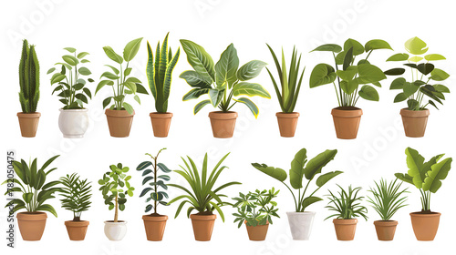 Transparent images of potted plants