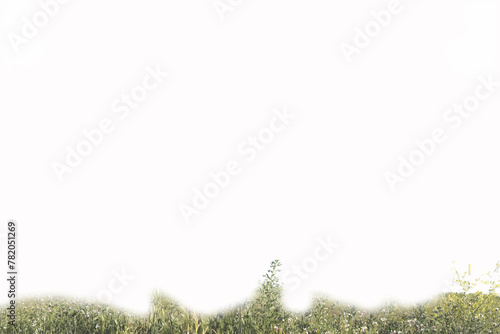 background, pattern, white, flowers, plants, spring, nature, flo