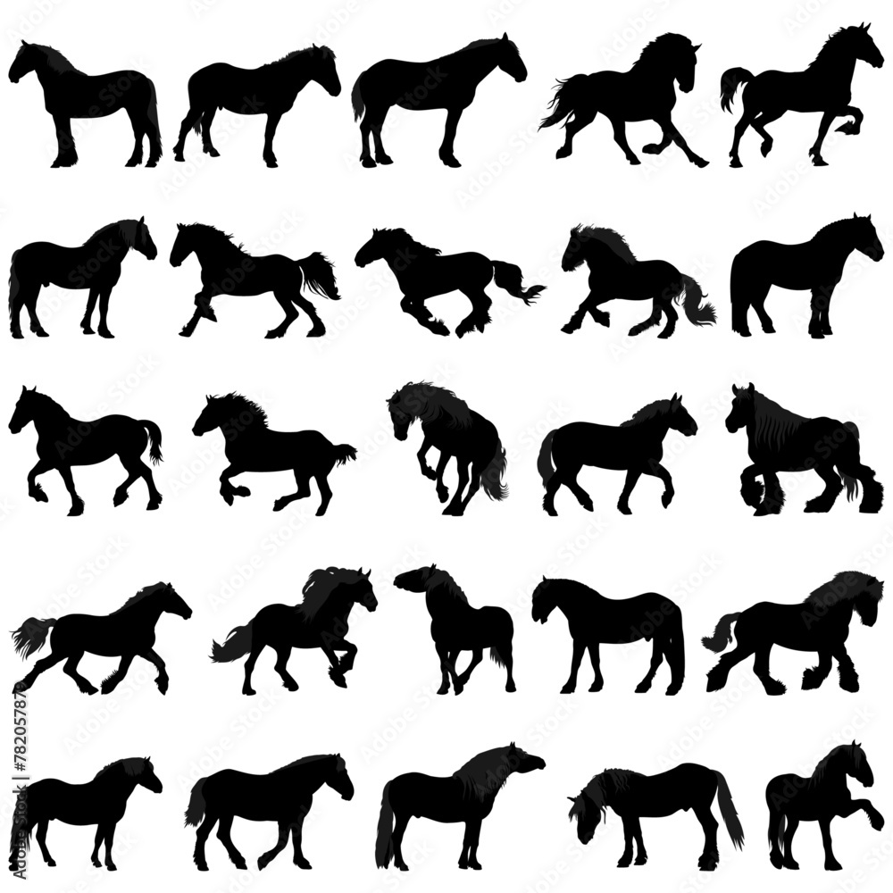 Collection of draft horses silhouettes, horse breeding . Vector illustration.	
