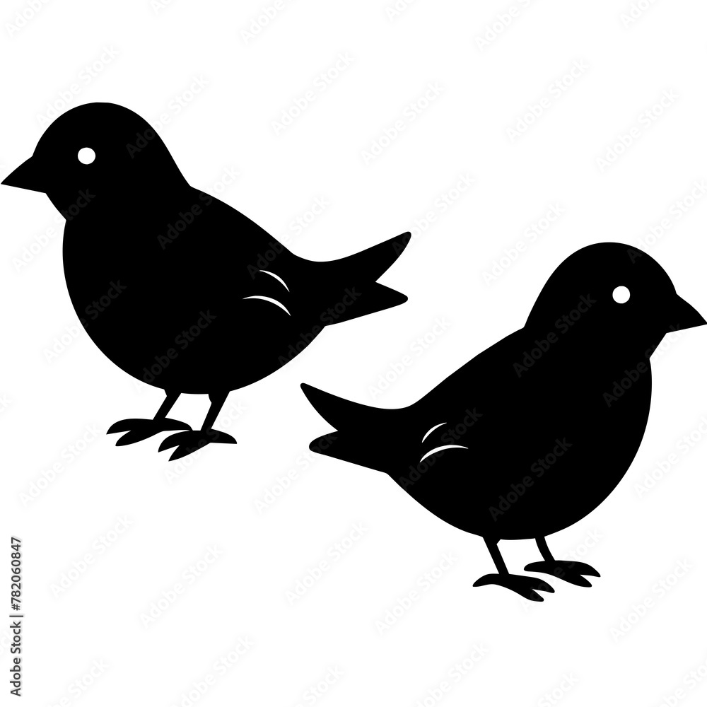 Obraz premium two bird on white background -vector illustration