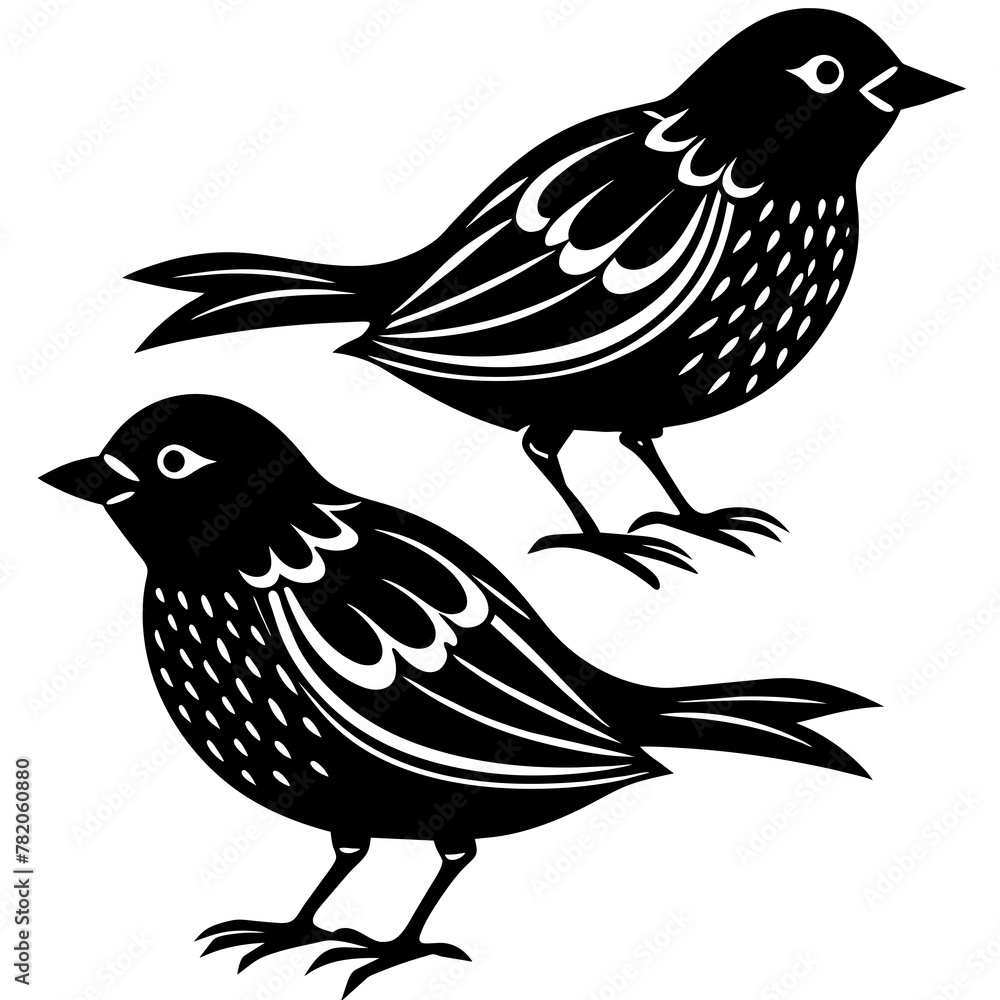 Fototapeta premium two bird on white background -vector illustration