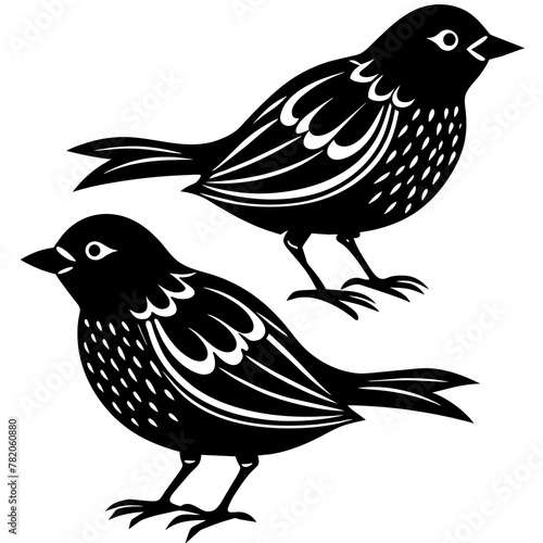 two bird on white background -vector illustration