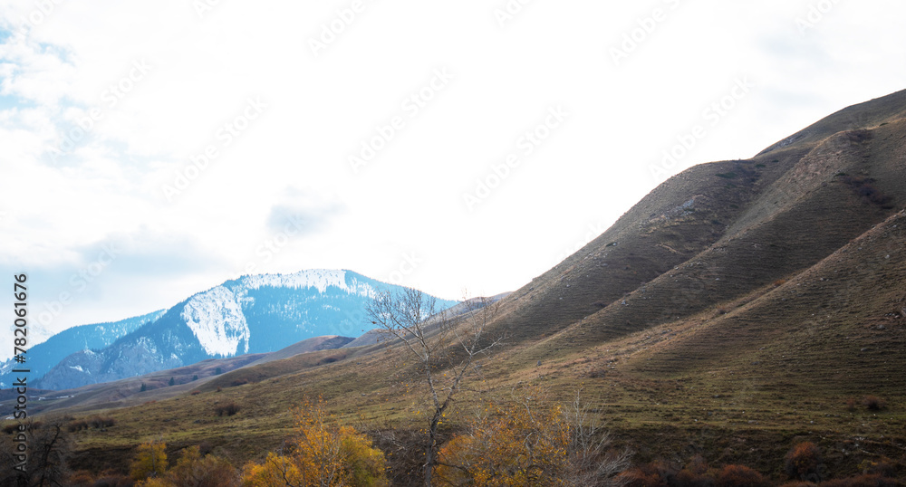 a gently sloping hillside leading to snow-capped mountains, with autumnal trees dotting the foreground under a soft cloud-filled sky, creating a tranquil and contrasting seasonal scene.