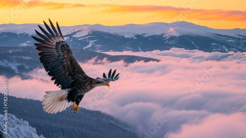 A bald eagle flying in sky at sunrise in wild.