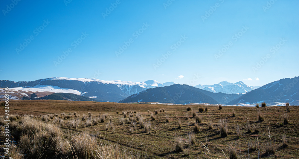 A dry grassland in the foreground with dry tufts of grass, leading to majestic snow-covered mountains under a clear blue sky with bright sunlight.