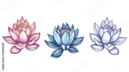 lotus on a white background   vector  watercolor style