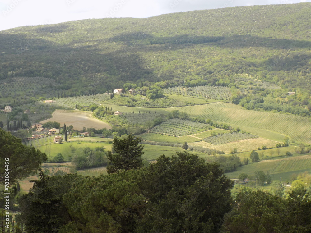 Obraz premium view of the countryside