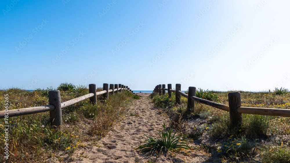 Sandy path flanked by wooden fences, leading through dune grasses towards a tranquil sea, under a vast, clear blue sky