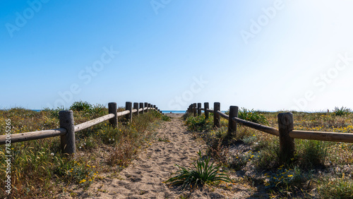 Sandy path flanked by wooden fences  leading through dune grasses towards a tranquil sea  under a vast  clear blue sky