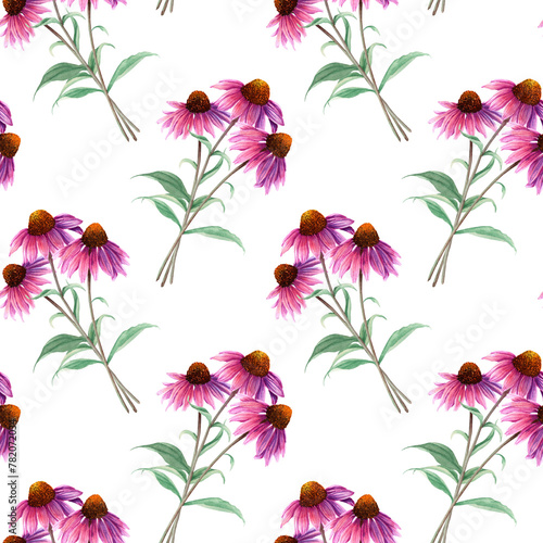 Watercolor seamless pattern with herb flower Coneflower, Echinacea. Hand drawn illustration for wrapping wallpaper fabric textile