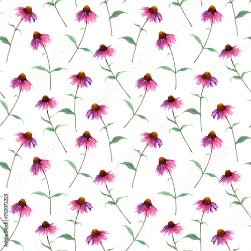 Watercolor repeat seamless pattern with herb flower Coneflower, Echinacea. Hand drawn botanical illustration for wrapping wallpaper fabric textile
