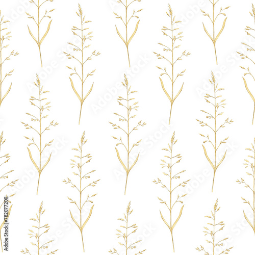 Seamless pattern with vintage graceful dry herbs herbarium isolated on white background. Watercolor hand drawn illustration