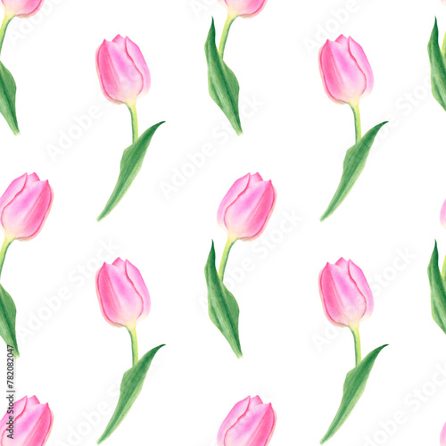 Pink tulip flowers with green leaves. Hand drawn watercolor botanical illustration. Seamless pattern on a white background. For postcards  textiles  covers  wallpapers  design  decor  wrapping paper 