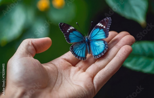 delicate butterfly butterfly on human hands on abstract sunny natural background. freedom, save wild nature, ecology concept. encounter man and nature. harmony, peaceful atmosphere landscape