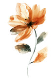 Watercolor Flower from Background