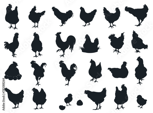Set of silhouettes of village chickens and roosters (ID: 782088264)