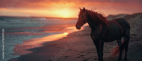 A horse stands on the shore as the sunset bathes the beach in a soft  radiant glow  reflecting in the water.