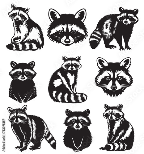 Collection of raccoon silhouettes on white background