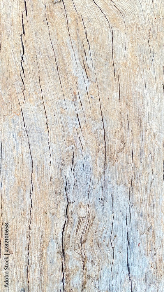 
The surface of the old wood has a light gray color.