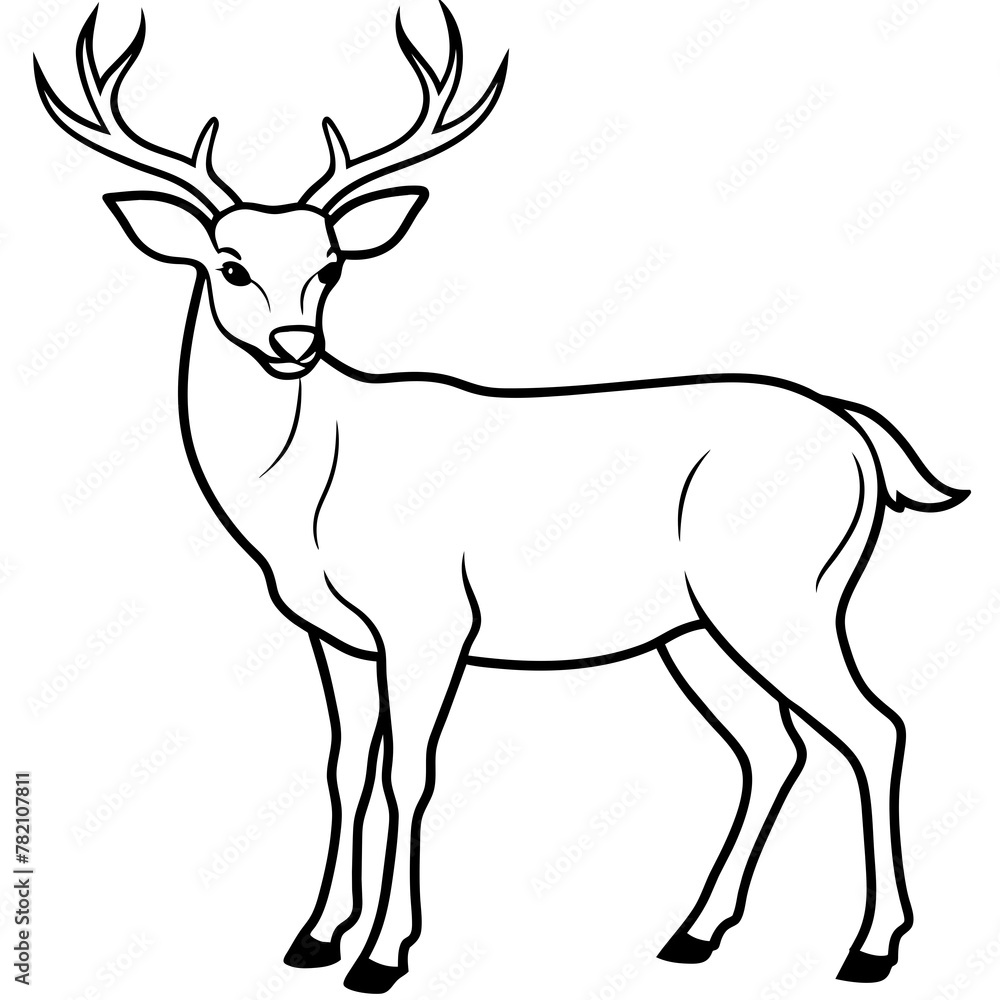 Deer vector illustration style.
Deer vector illustration style.