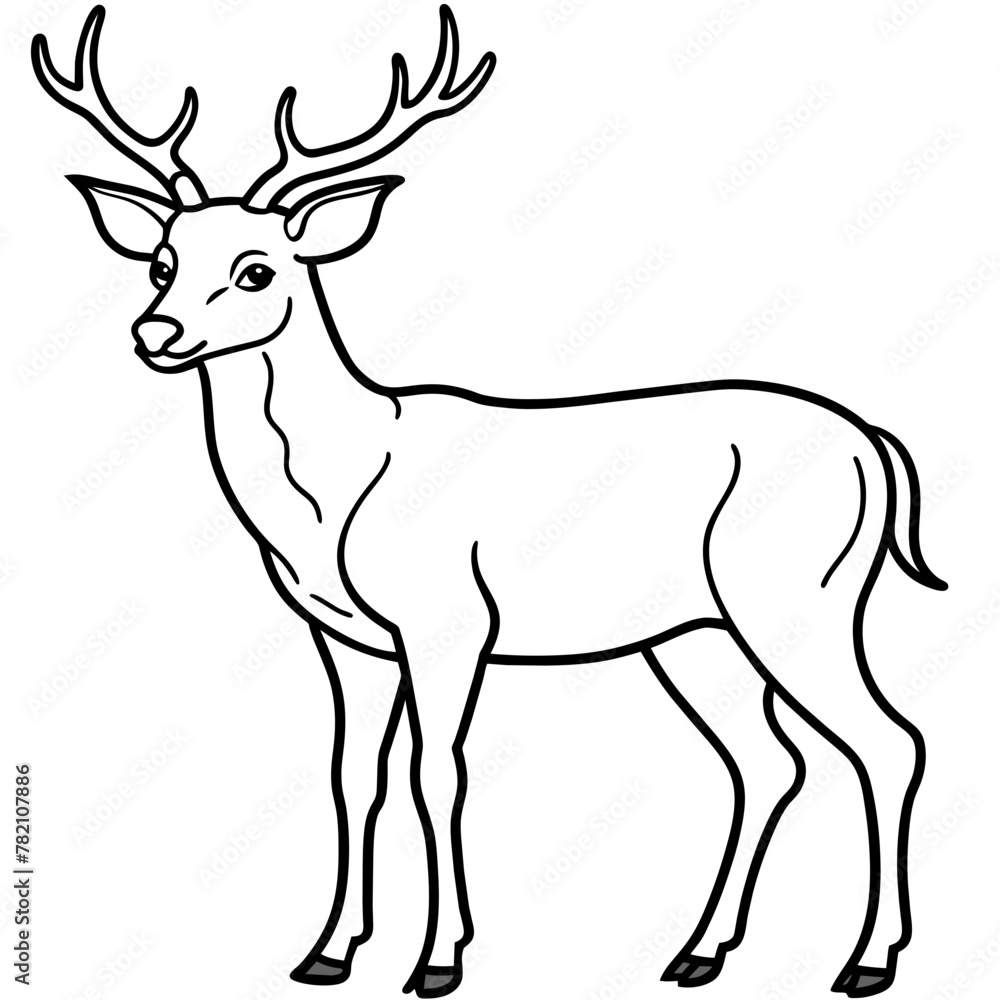 Deer vector illustration style.
Deer vector illustration style.
