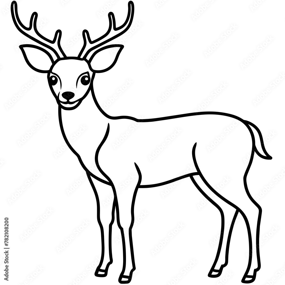 Deer vector illustration style.
Deer vector illustration style.