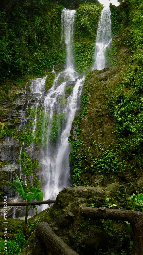 Tropical waterfall in the jungle. View of a waterfall in a tropical rainforest.