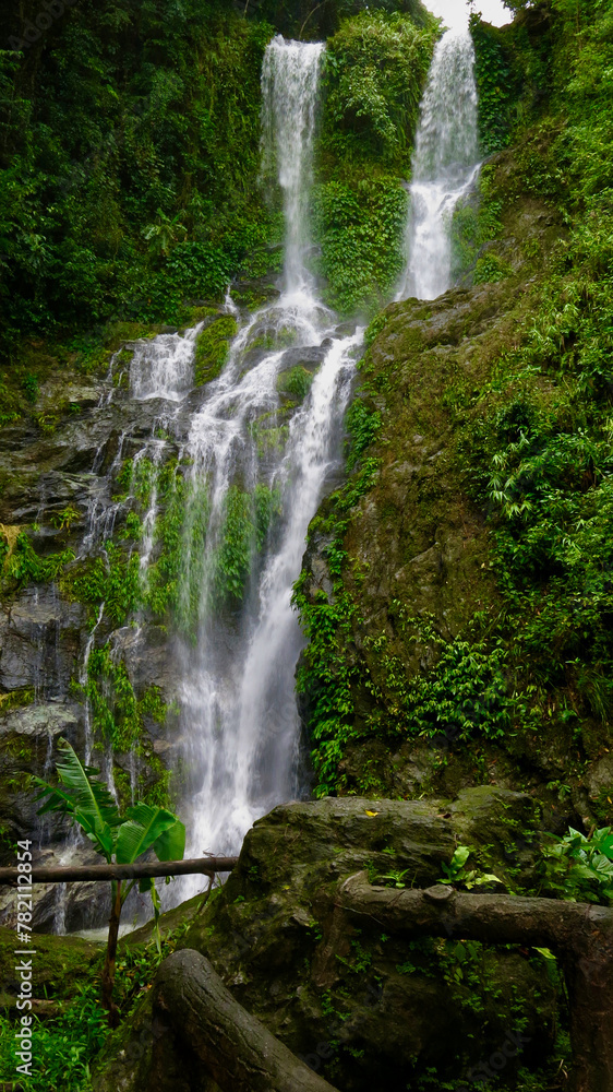 Tropical waterfall in the jungle. View of a waterfall in a tropical rainforest. Tropical waterfall in the jungle. View of a waterfall in a tropical rainforest.