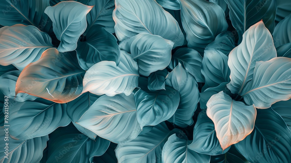 Abstract nature vibes: Calathea Orbifolia in muted tones, creating a serene backdrop.