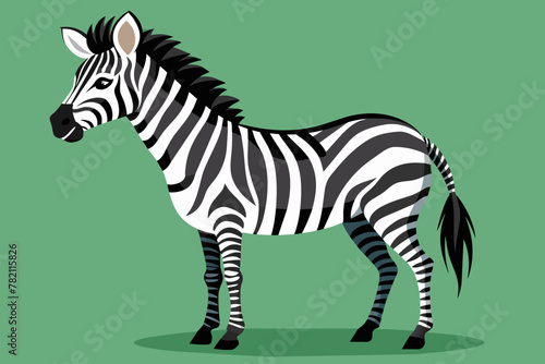 Fototapeta Naklejka Na Ścianę i Meble -  zebra silhouette vector art illustration
