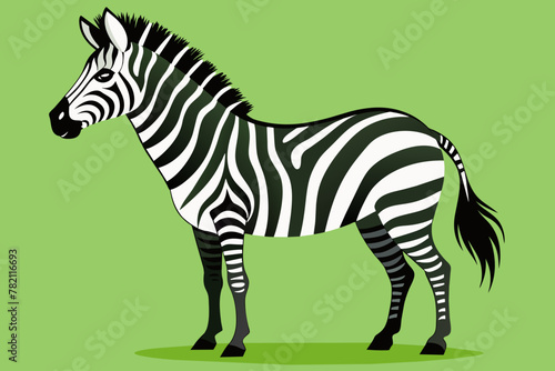 zebra silhouette vector art illustration 