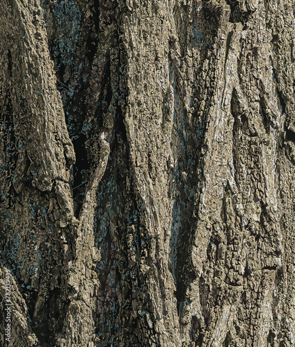 Vector illustration of a tree bark texture with longitudinal deep cracks. Robinia pseudoacacia bark background.
