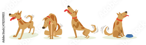 Funny Dog Domestic Pet and Animal in Different Pose Vector Set