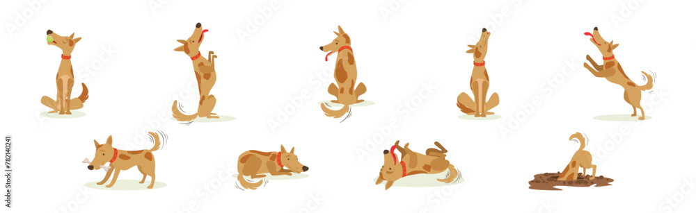Obraz premium Funny Dog Domestic Pet and Animal in Different Pose Vector Set