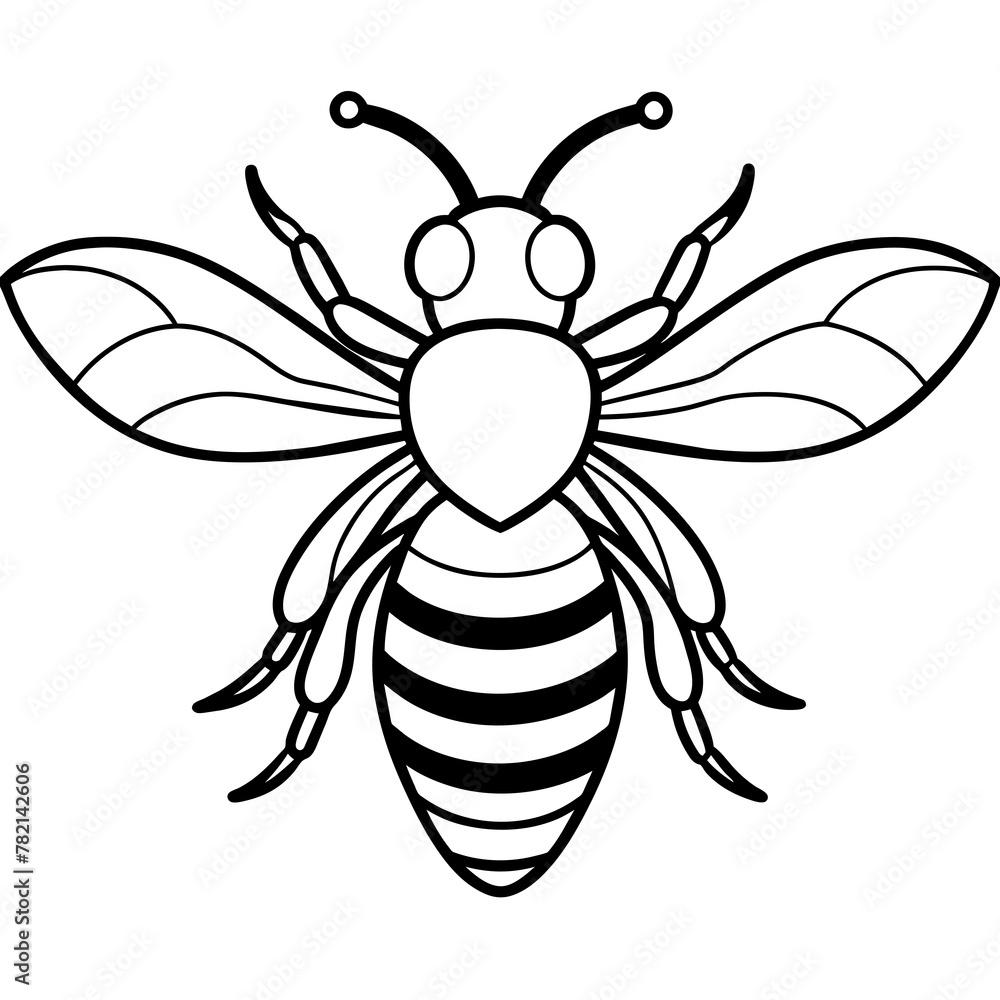 Asian giant hornet bee vector illustration.
Asian giant hornet bee vector illustration.