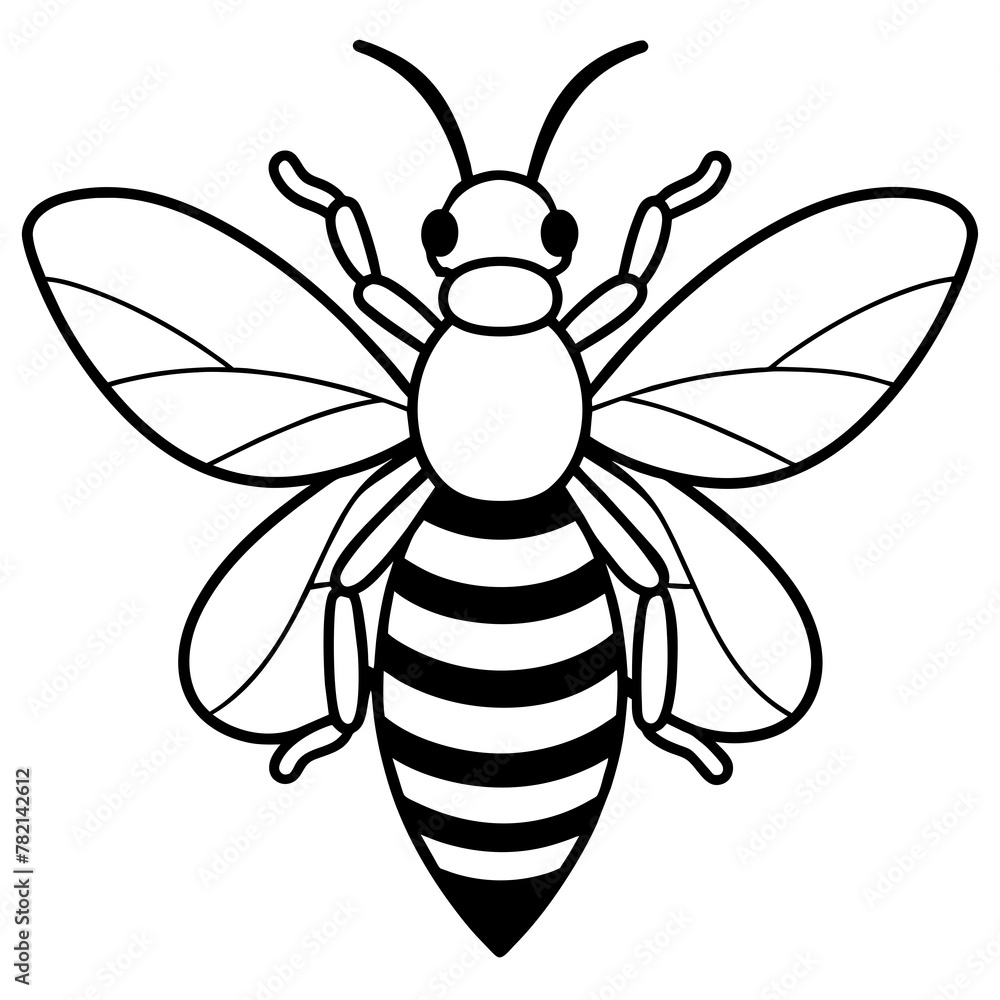 Asian giant hornet bee vector illustration.
Asian giant hornet bee vector illustration.