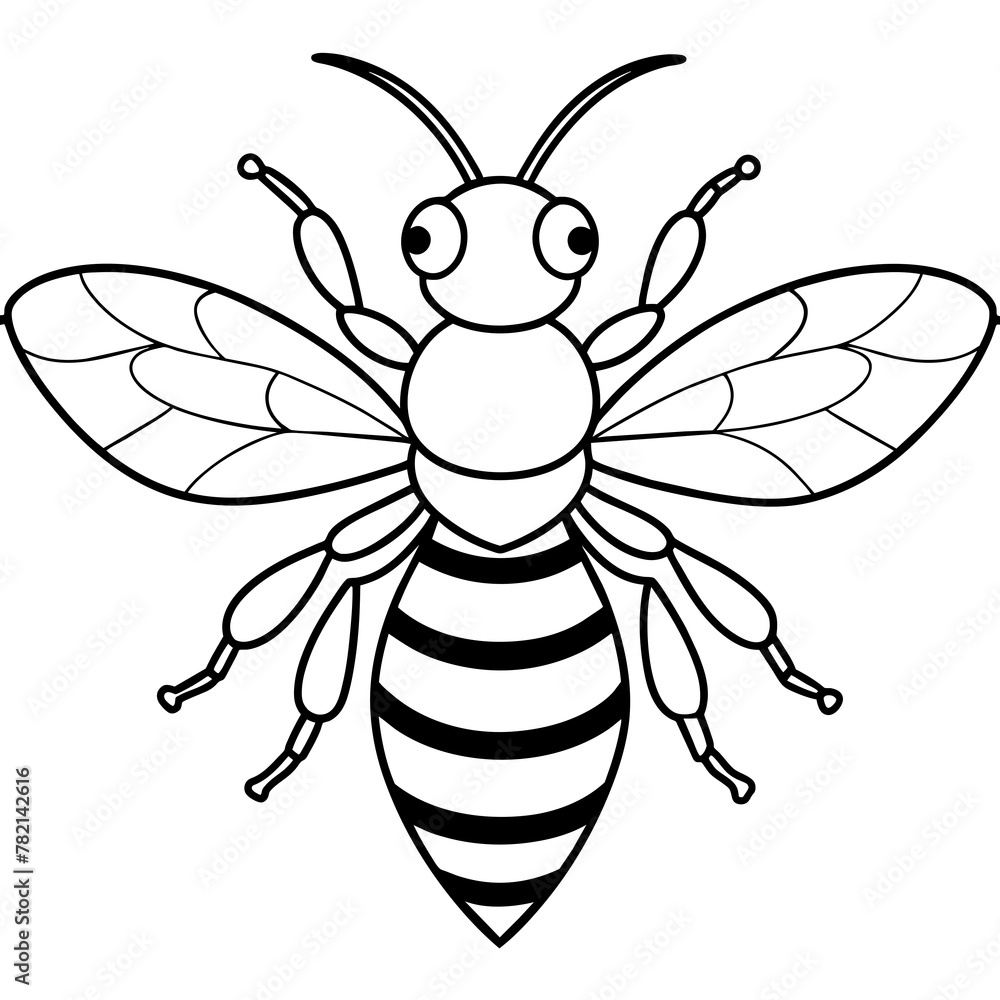           Asian giant hornet bee vector illustration.
