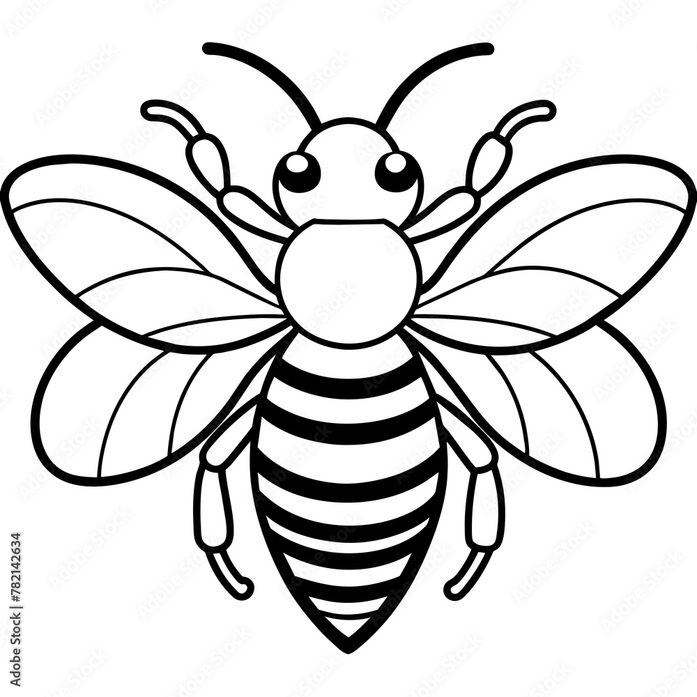 Asian giant hornet bee vector illustration.
Asian giant hornet bee vector illustration.