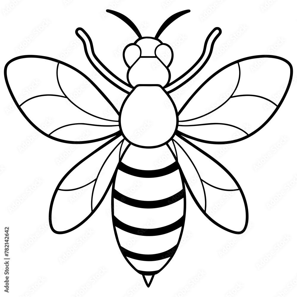 Asian giant hornet bee vector illustration.
Asian giant hornet bee vector illustration.